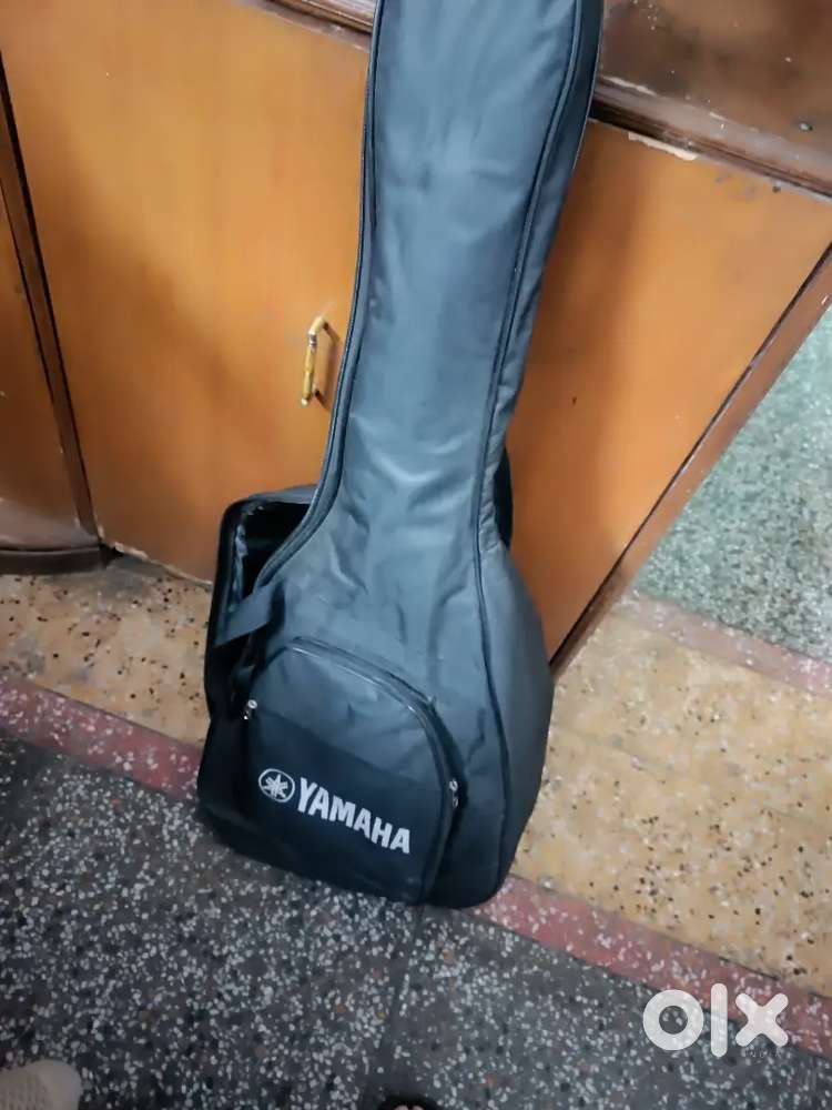 Guitar with its cover
