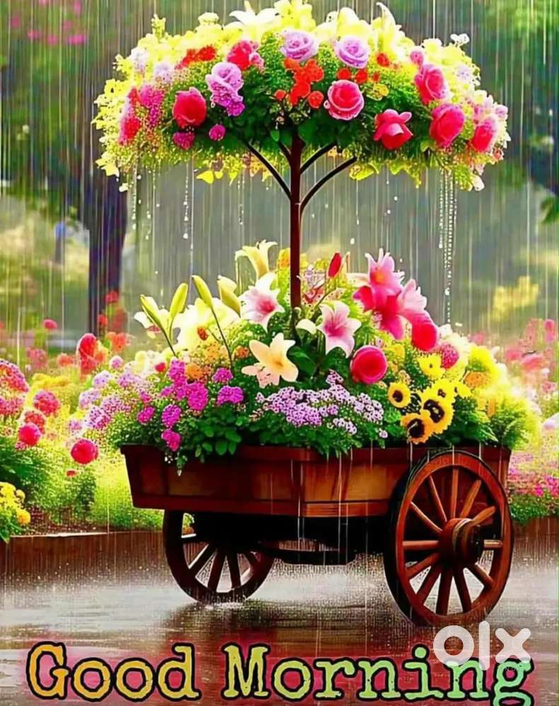 Required a girl or lady for ladies saloon