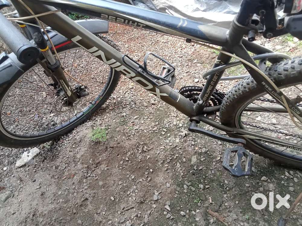 Adult cycle for sale