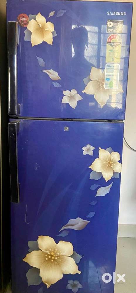 Samsung 236 L Frost Free Double Door 2 Refrigerator (Camellia Blue)