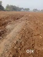 2.25 bigha