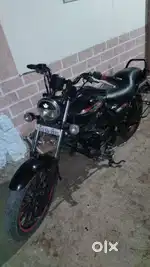 Avenger 220  street 2016 model