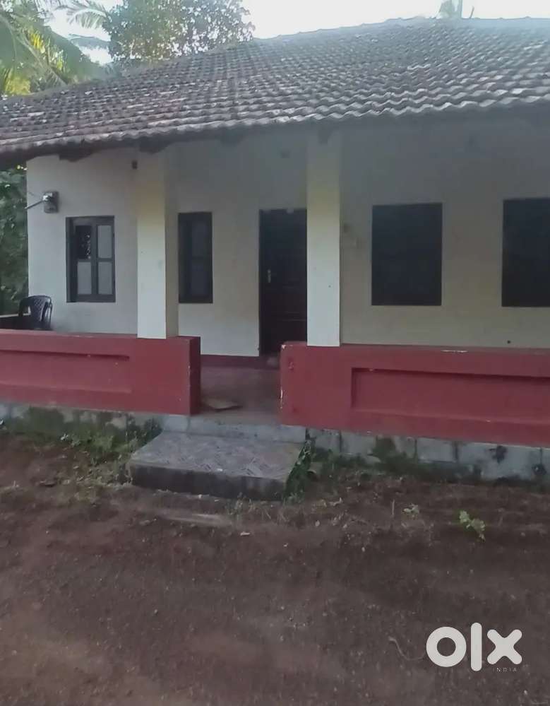 Homewith well 3 coconut trees  old traditional home 10