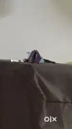 Need Two wheeler driver