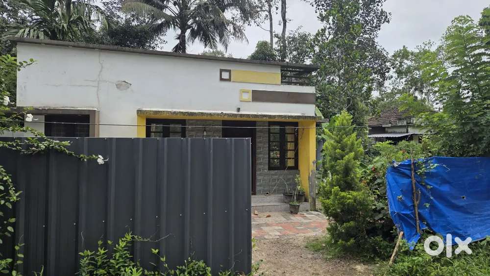 House near Cherthala അയ്യപ്പൻചേരി അമ്പലത്തിലെ കിഴക്കുവശം