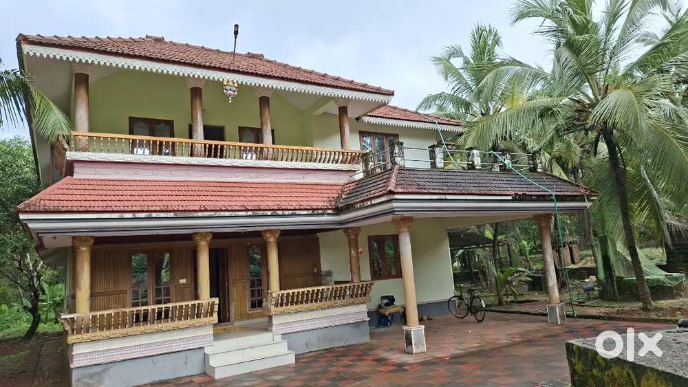 House with 25 cent plot