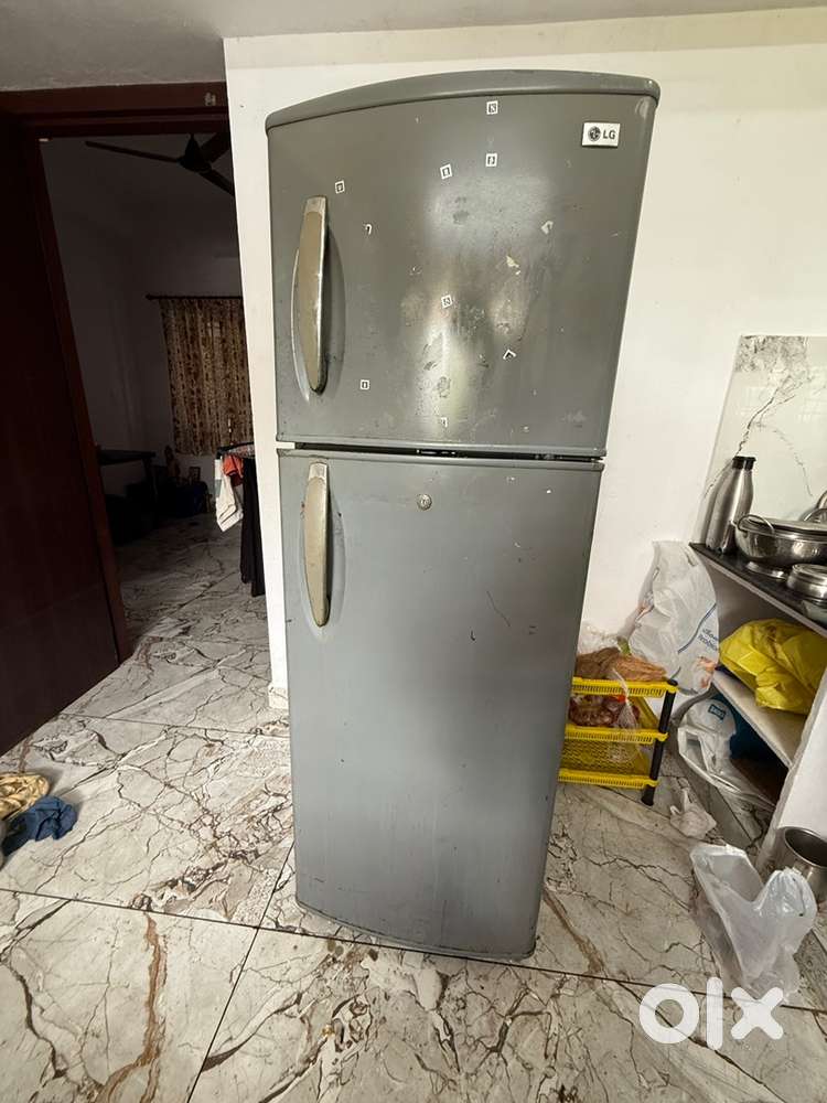 Lg double door