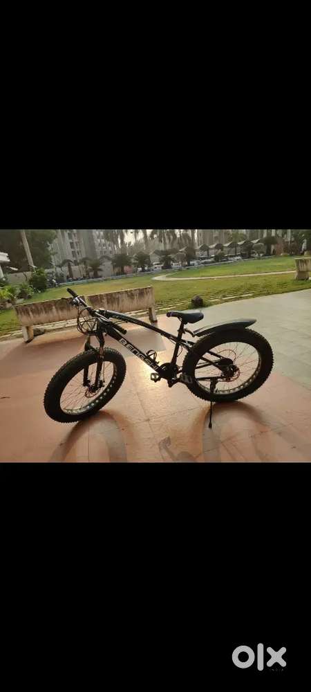 Fat tyre bicycle with 10 gear transmission