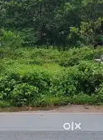 Premium residential plot near LULU mall, Palakkad, River side