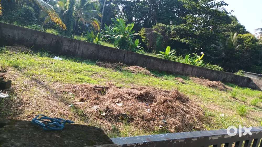 4.100 Cent Near Manimala Road Edappally