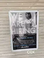 Sales associate and sales officer