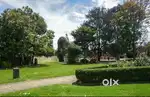 PARK MAINTENANCE MANAGER