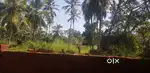 9 Cent Residential Land For Sale at Mundery Motta, Kannur (ml)