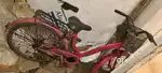 Avon Cycle for Ladies