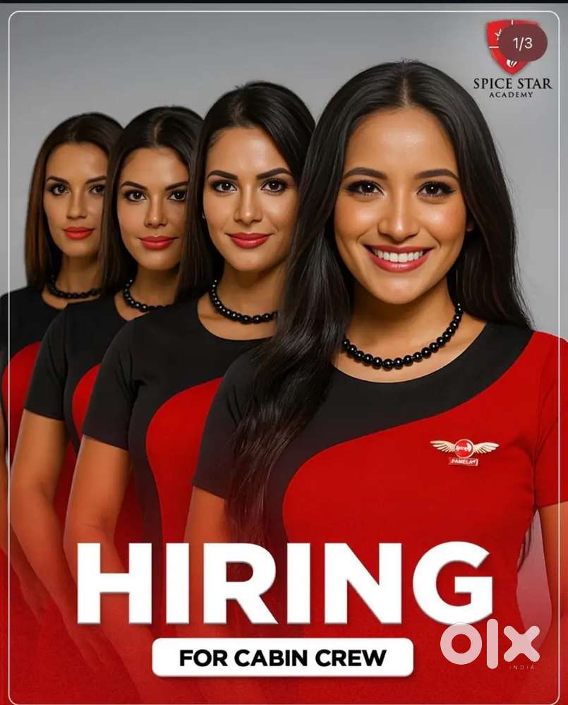 Cabin Crew