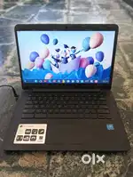 Asus Chromebook C300