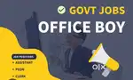 Urgent Job opening for Office Assistant Boy in Real Estate company