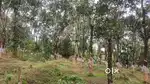 റിസോർട്ട് , ഫാം എന്നിവക്ക് അനുയോജ്യമായ സ്ഥലം