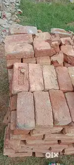 Pine colony Chandpur mein 50 Gaj ka plot Hai argent sel karna hai