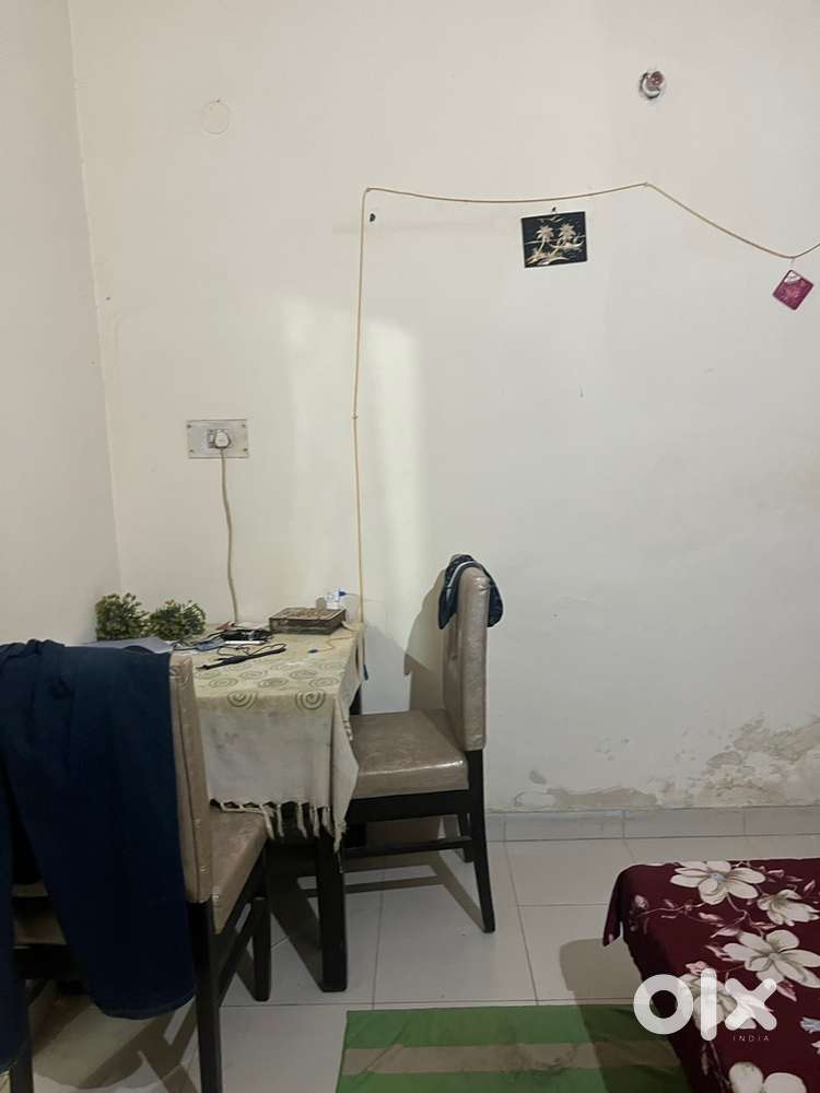 Looking for roommate male /female