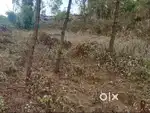 Jaka Ban Die