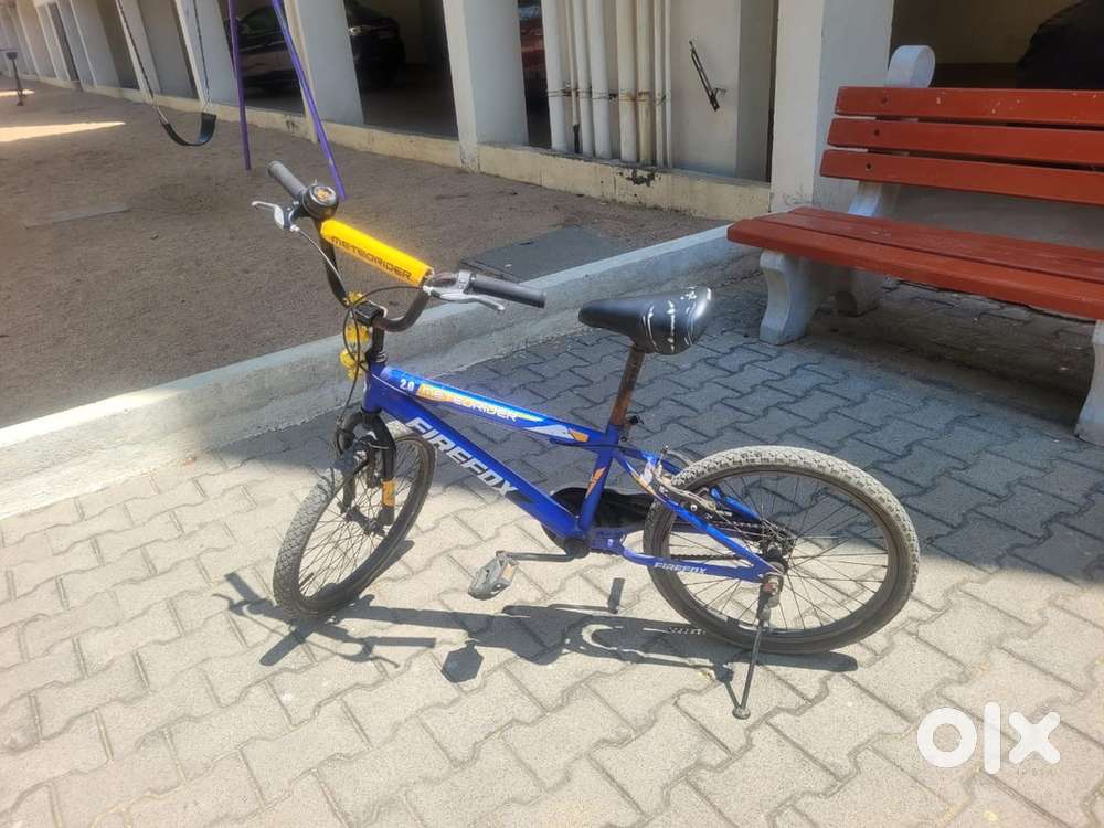 Blue firefox cycle