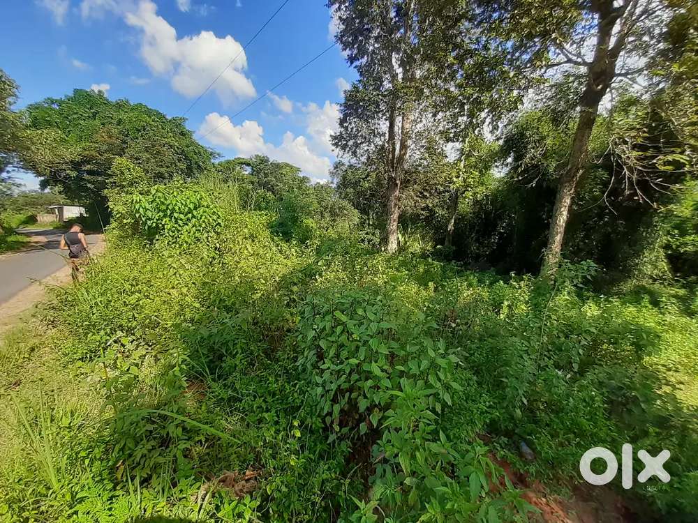 Laitumkhrah,Tynring,Umrynjah,MawsiatkhnamLand for Sale