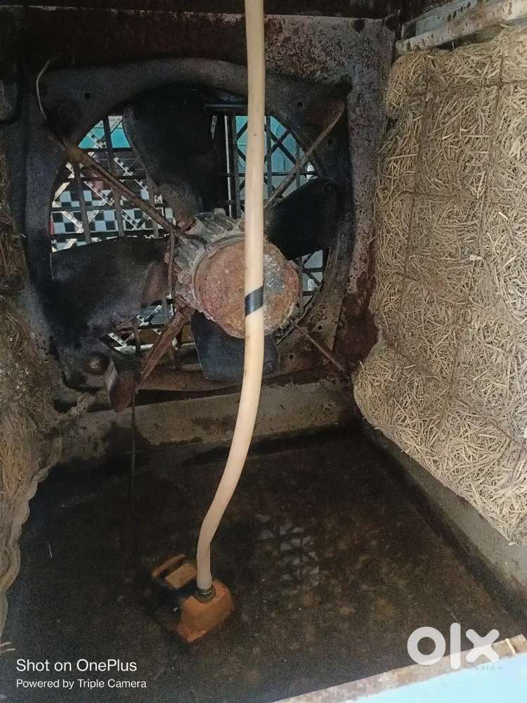 Metal coolar