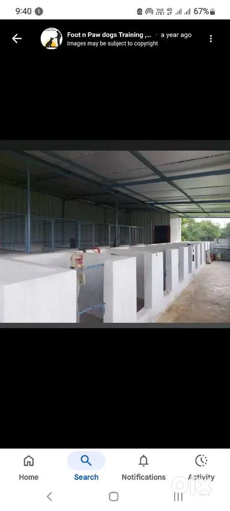 URGENT REQUIREMENT: Dog Kennel Assistant/Helper Needed