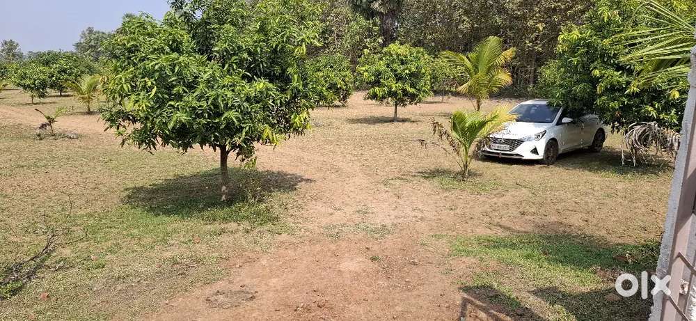 2 ACRES LAND FOR SELLING