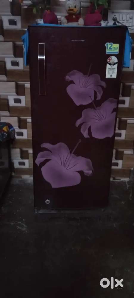 4  year old fridge