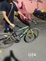 Street Cat