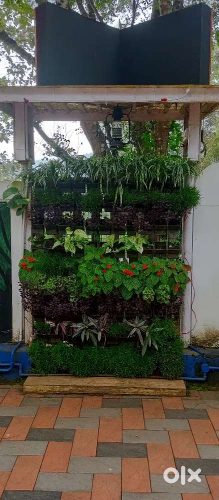 Caretaker, housekeeping, cleaning