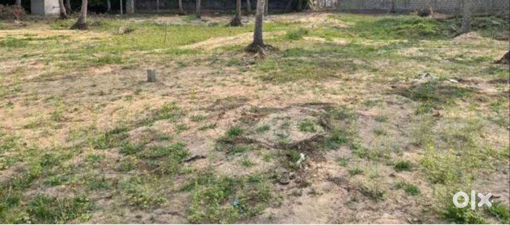 24 cent residential plot for sale at irumpanam