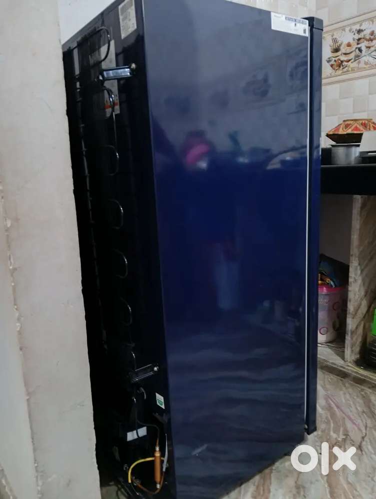 8 महीने पुरानी फ्रिज