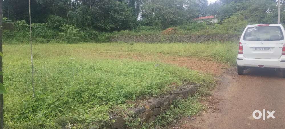 ഏറ്റുമാനൂർ അമ്പലത്തിന്റെ പടിഞ്ഞാറെ നടയിൽ നിന്നും 500 mtr ദൂരത്തിൽ