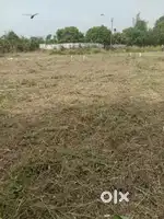 പള്ളത്തേരി