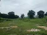 Tirupati Near Birla school Thondavada