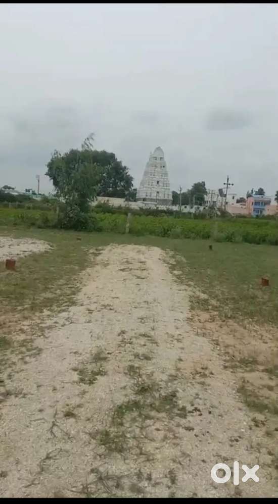 Plots for Sale Keelapatla Village Beside TTD temple