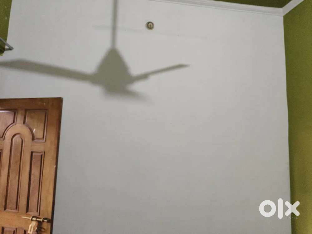 Only Bachelors allowed