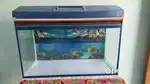 Aquarium tank