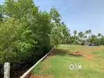 1.15 Acre of land for RENT