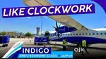 Urgent hiring in indigo airlines