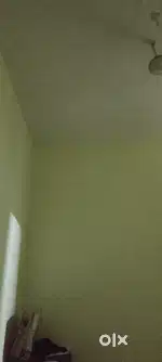 Need room mate