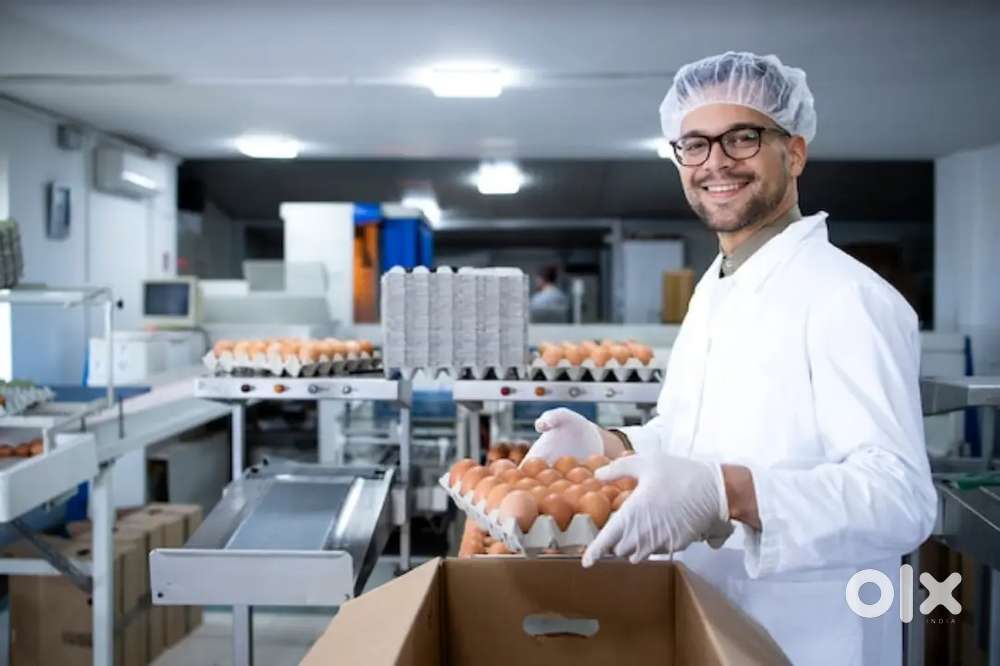 REQUIREMENT FOR PACKING JOB IN ALLAHABAD  LOCATION !! APPLY NOW