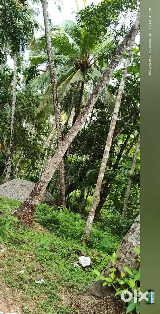 1.75 lakh per cent land is available