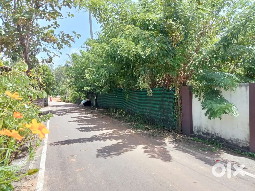 Residential Plot 11 Cent