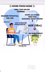Work from home online