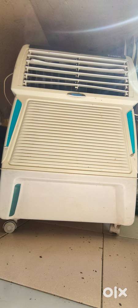 Touch brand 1year old