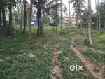 17cents land for sale